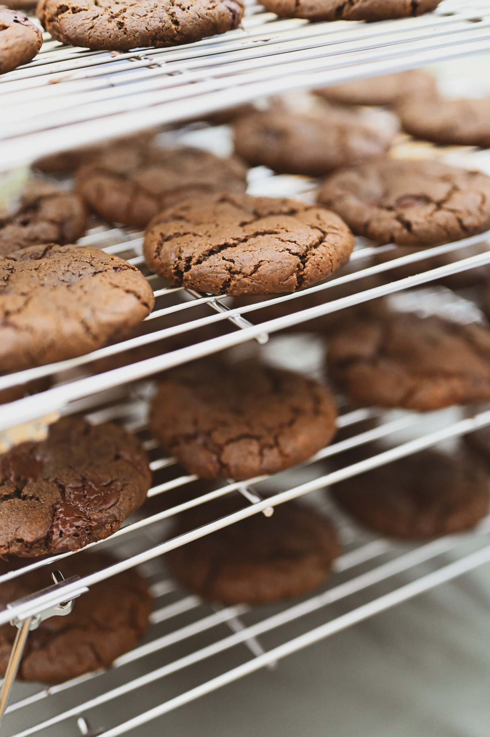 Snoop D. Triple chocolate chip cookie